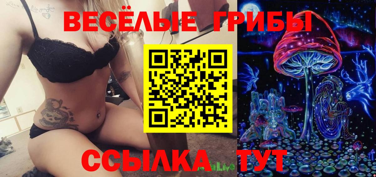 Псилоцибиновые грибы MAGIC MUSHROOMS  Вход с VPN  магазин    Кинель 