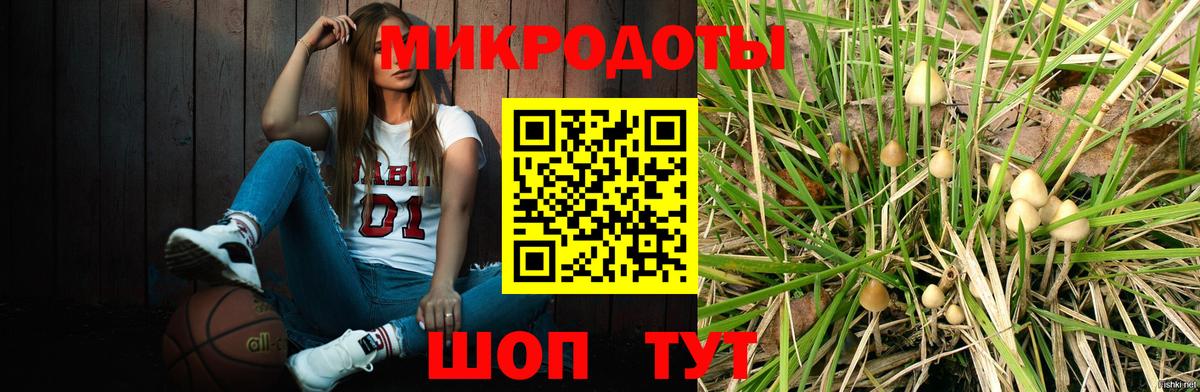Галлюциногенные грибы мицелий Кинель